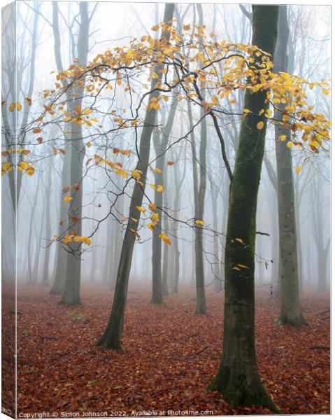 misty woodland  Canvas Print by Simon Johnson