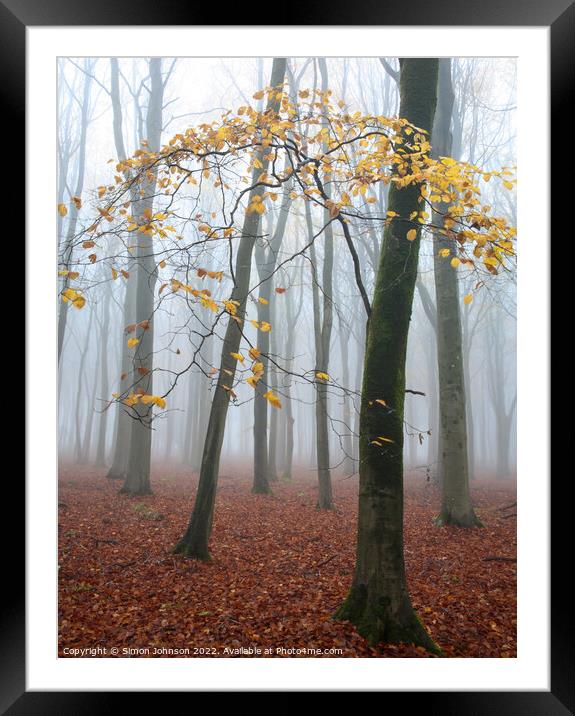 misty woodland  Framed Mounted Print by Simon Johnson