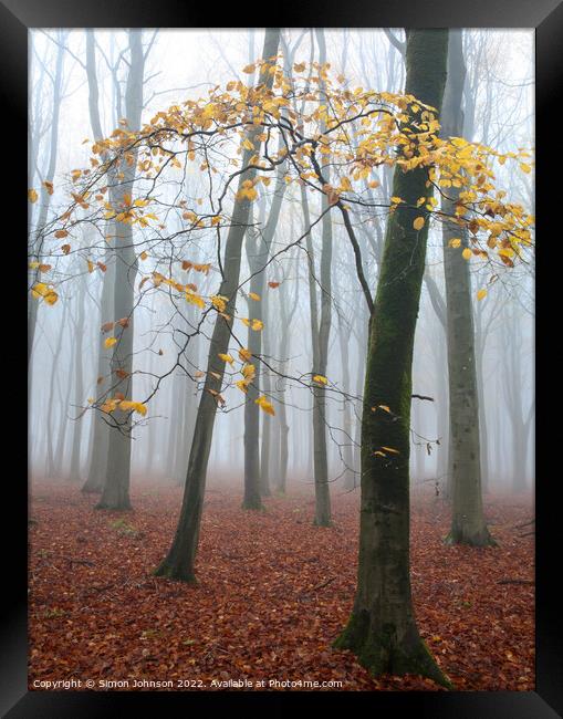 misty woodland  Framed Print by Simon Johnson