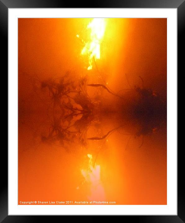 Fire Framed Mounted Print by Sharon Lisa Clarke