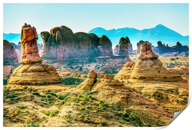 Petrified Sand Dunes Garden Eden Arches National Park Moab Utah Print by William Perry