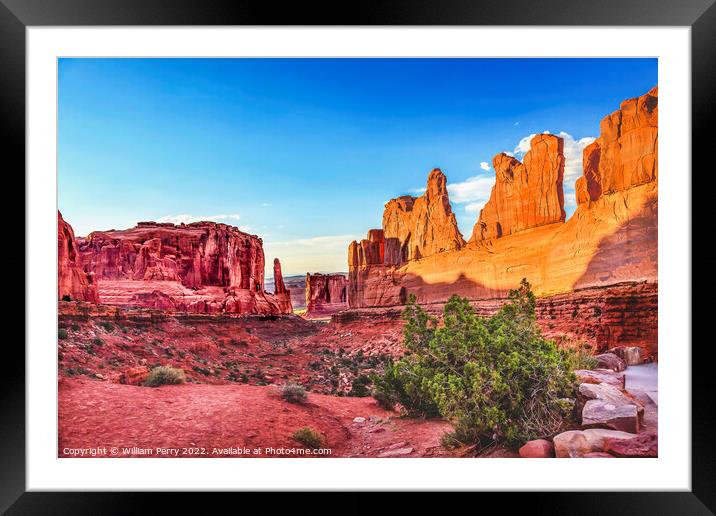 Park Avenue Section Arches National Park Moab Utah  Framed Mounted Print by William Perry