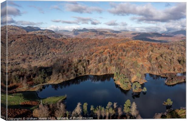Tarn Hows and Langdale Pikes Canvas Print by Graham Moore