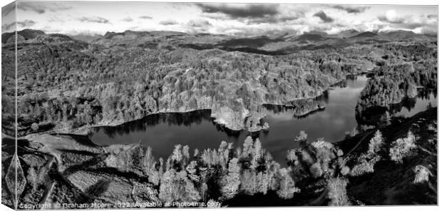 Tarn Hows panorama monochrome Canvas Print by Graham Moore
