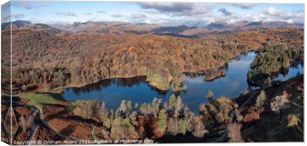 Tarn Hows panorama Canvas Print by Graham Moore