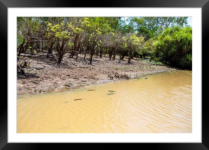 Kakadu Yellow Water (Ngurrungurrudjba) Wetlands  Framed Mounted Print by Antonio Ribeiro