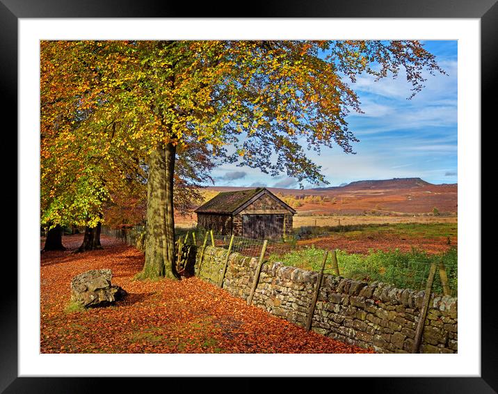 The Old Barn, Longshaw, Derbyshire, Peak District Framed Mounted Print by Darren Galpin