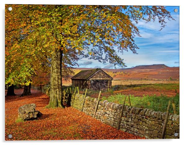 The Old Barn, Longshaw, Derbyshire, Peak District Acrylic by Darren Galpin