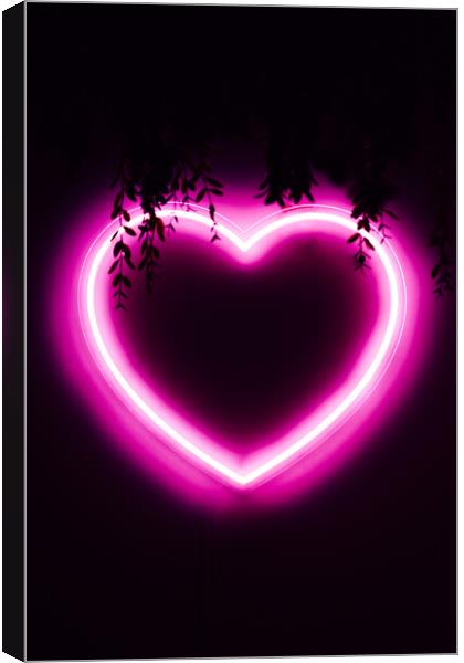Neon pink heart on black wall Canvas Print by Alexandre Rotenberg