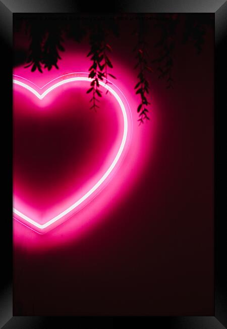 Neon pink heart on black wall Framed Print by Alexandre Rotenberg