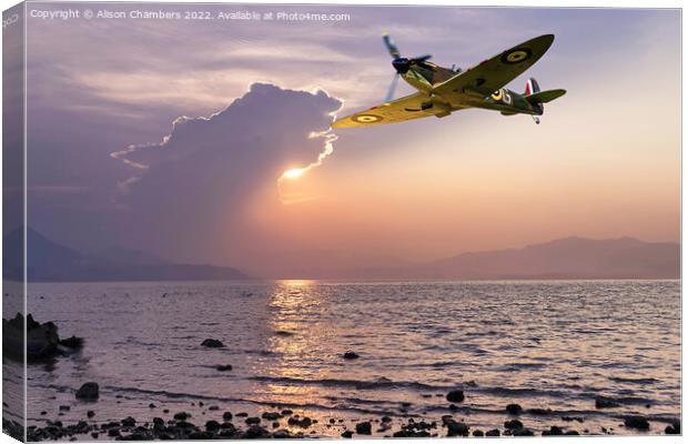 Supermarine Spitfire Canvas Print by Alison Chambers