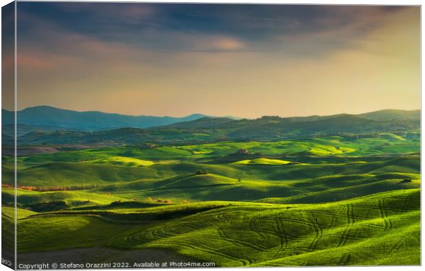 Springtime in Tuscany, rolling hills at sunset. Volterra. Canvas Print by Stefano Orazzini