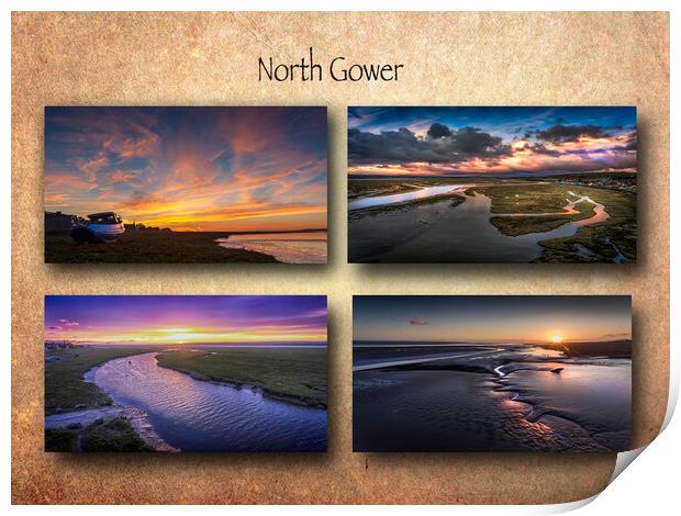 The North Gower Coast Print by Leighton Collins