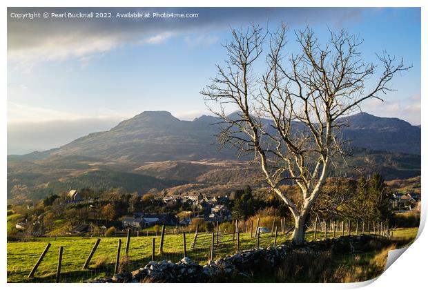 Llan Ffestiniog below the Moelwyns Print by Pearl Bucknall