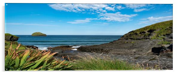 Trebarwith strand cornwall Acrylic by Kevin Britland