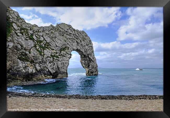 Durdle Door Arch Dorset  Framed Print by Diana Mower