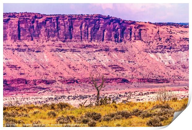 Dead Tree Moab Fault Arches National Park Moab Utah  Print by William Perry