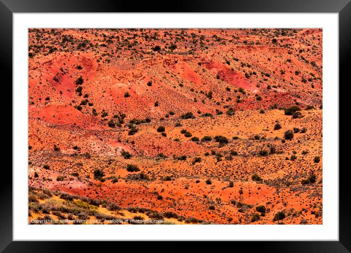 Painted Desert Orange Sandstone Arches National Park Moab Utah  Framed Mounted Print by William Perry