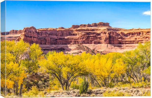 Autumn Yellow Leaves Rock Canyon Arches National Park Moab Utah  Canvas Print by William Perry