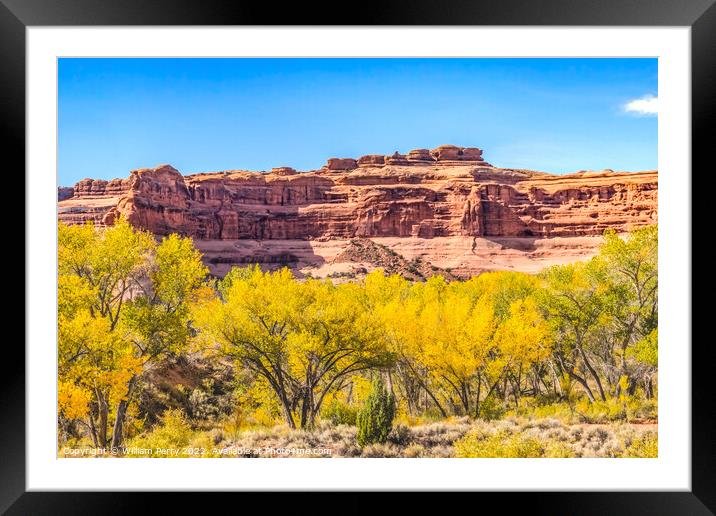 Autumn Yellow Leaves Rock Canyon Arches National Park Moab Utah  Framed Mounted Print by William Perry