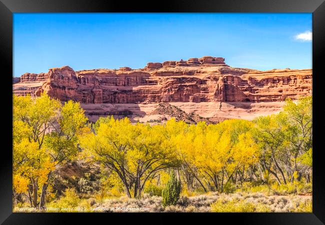 Autumn Yellow Leaves Rock Canyon Arches National Park Moab Utah  Framed Print by William Perry