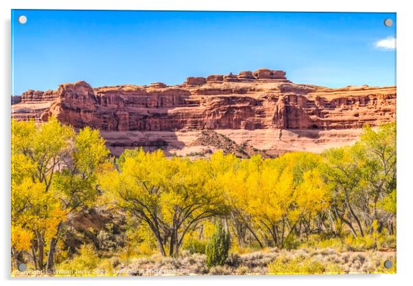 Autumn Yellow Leaves Rock Canyon Arches National Park Moab Utah  Acrylic by William Perry
