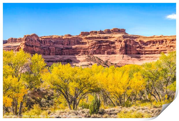 Autumn Yellow Leaves Rock Canyon Arches National Park Moab Utah  Print by William Perry
