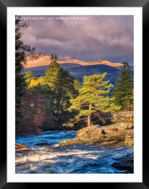 A lone Scots Pine Tree   Framed Mounted Print by Navin Mistry