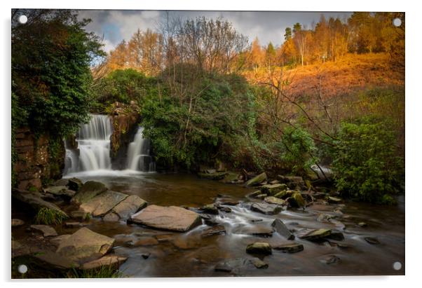 Penllergare Woods waterfall Acrylic by Leighton Collins
