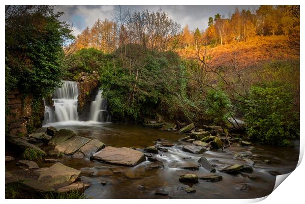 Penllergare Woods waterfall Print by Leighton Collins