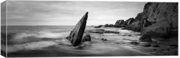 Aylmer cove black and white Canvas Print by Sonny Ryse