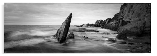 Aylmer cove black and white Acrylic by Sonny Ryse