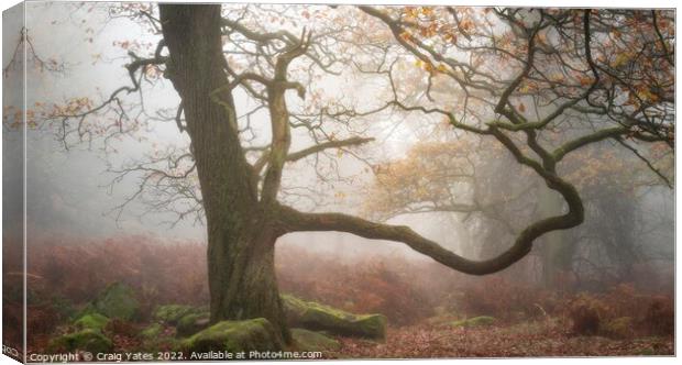 Padley Gorge in the mist. Canvas Print by Craig Yates