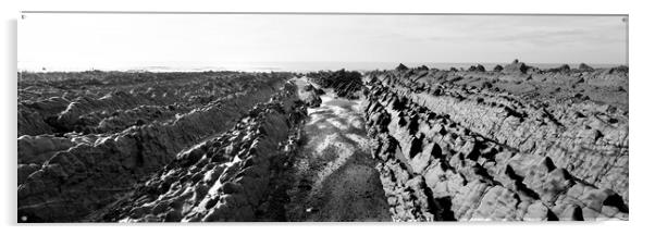 Welcombe Mouth beach North Devon South West Coast Path black and white 4 Acrylic by Sonny Ryse