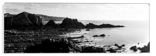 Hartland Quay North Devon south west coast path black and white Acrylic by Sonny Ryse