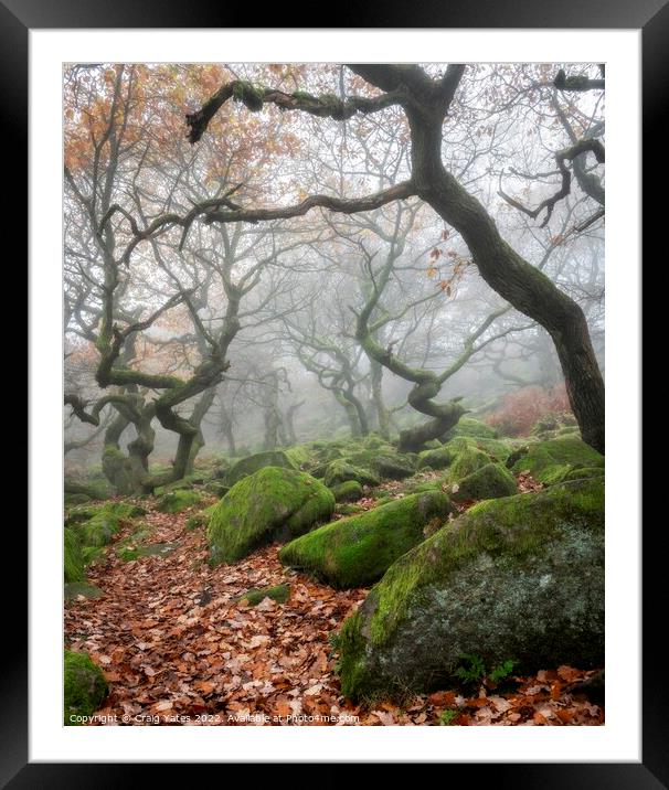 Padley Gorge Misty Woodland  Framed Mounted Print by Craig Yates