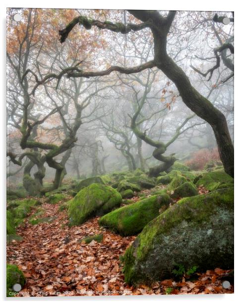 Padley Gorge Misty Woodland  Acrylic by Craig Yates