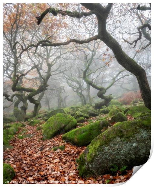 Padley Gorge Misty Woodland  Print by Craig Yates