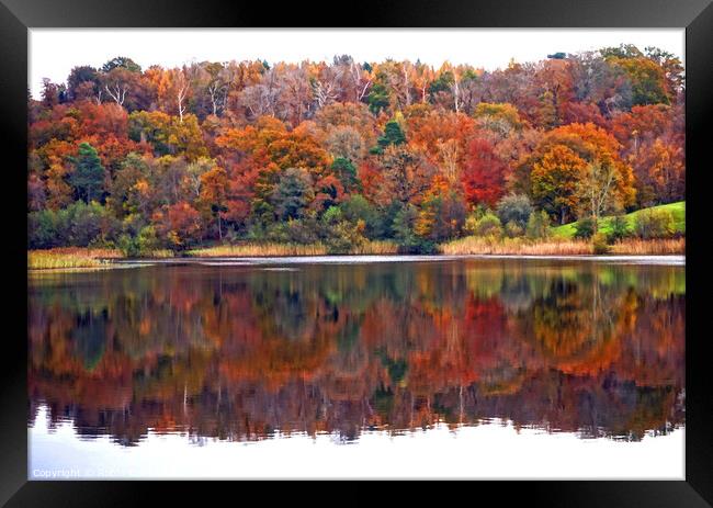 Autumn Reflections Framed Print by Robin Clarke