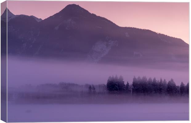 Winter evening Canvas Print by Thomas Schaeffer