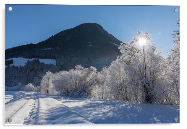 Winter morning Acrylic by Thomas Schaeffer