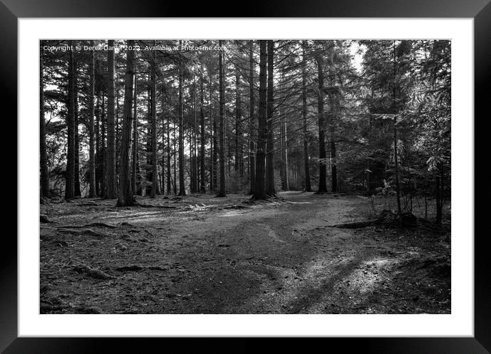 Enchanted Forest Path Framed Mounted Print by Derek Daniel