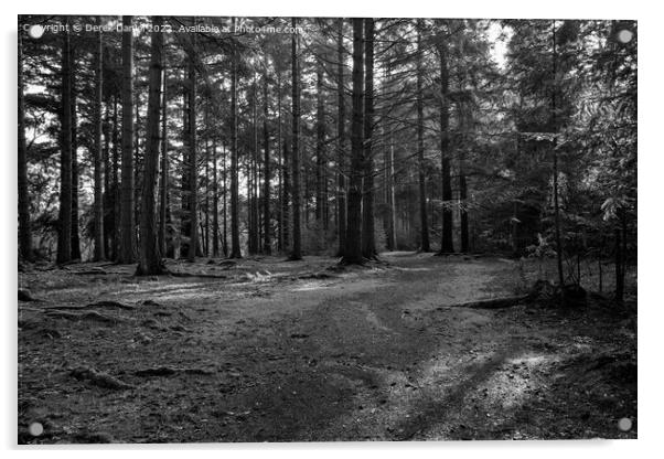 Enchanted Forest Path Acrylic by Derek Daniel
