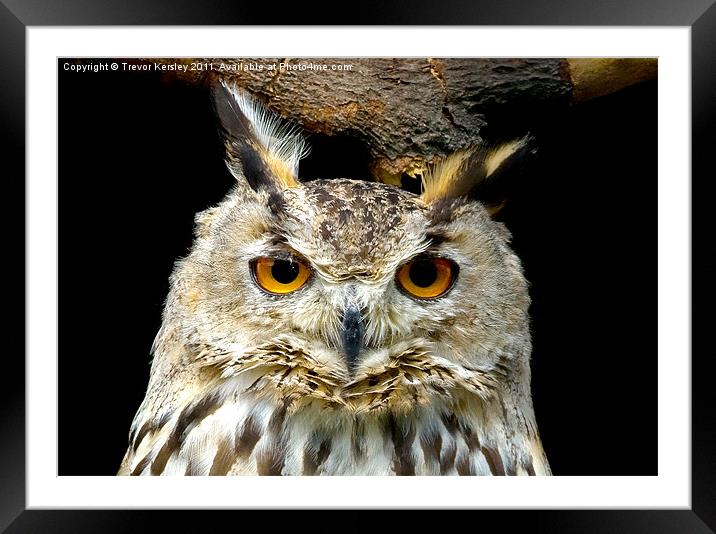 Wise Owl Framed Mounted Print by Trevor Kersley RIP