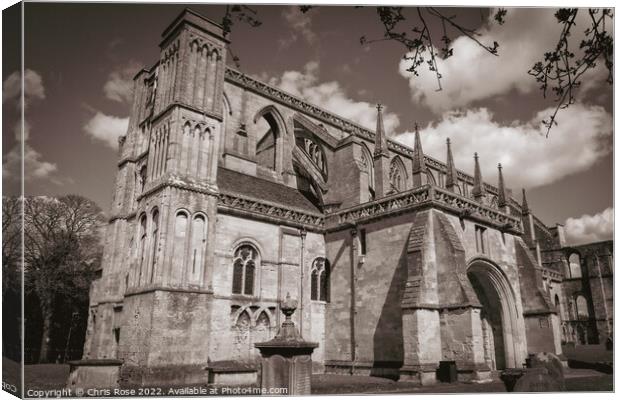Malmesbury Abbey in spring Canvas Print by Chris Rose