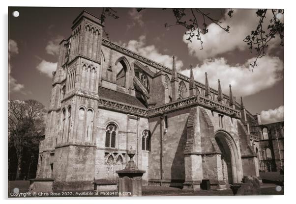 Malmesbury Abbey in spring Acrylic by Chris Rose
