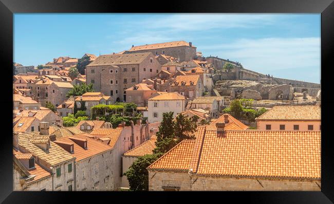 Overlooking Dubrovnik's Enchanting Rooftops Framed Print by Margaret Ryan