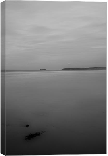 Soft with Seaweed Black and White Canvas Print by Kieran Brimson