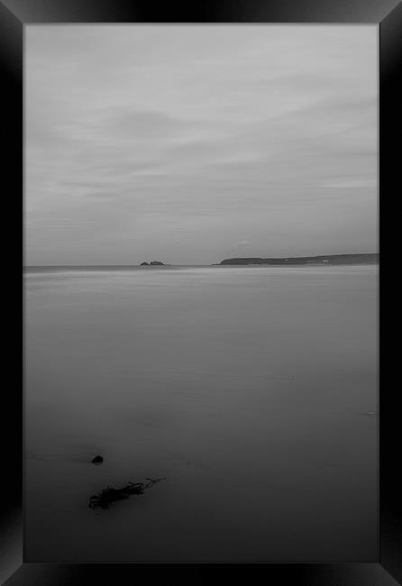 Soft with Seaweed Black and White Framed Print by Kieran Brimson