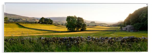 Wensleydale Fields Yorkshire Dales.jpg Acrylic by Sonny Ryse